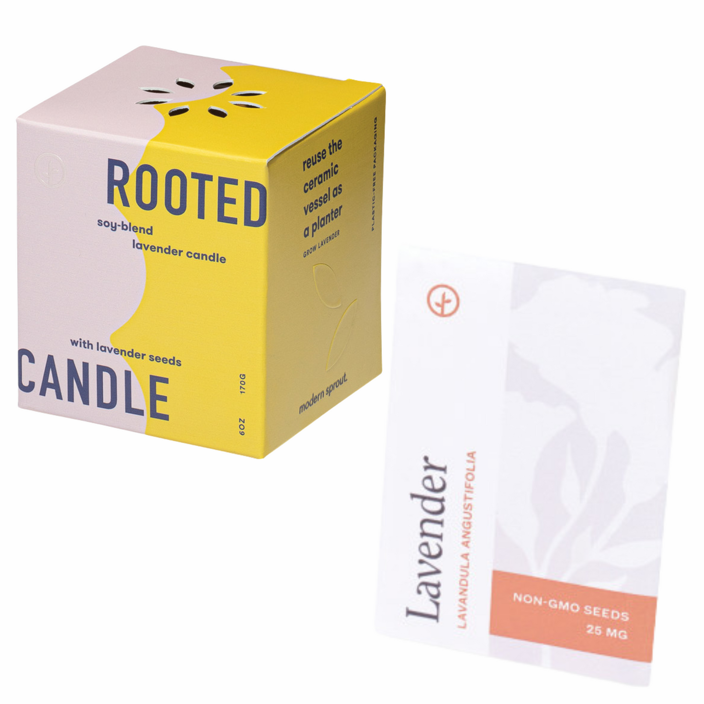 Modern Sprout Rooted Candle with Lavender Seeds