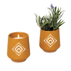 Modern Sprout Rooted Candle with Lavender Seeds